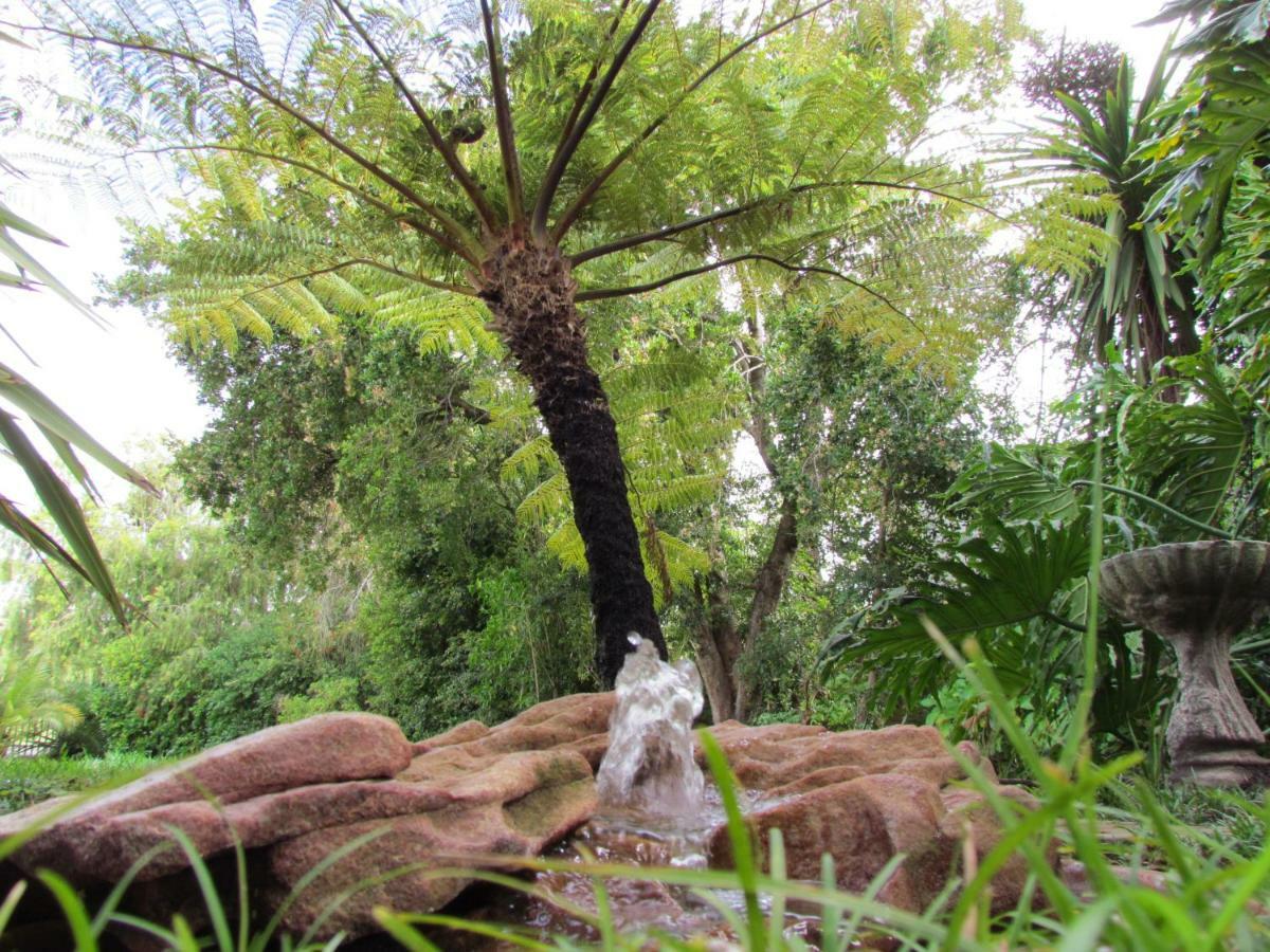 Protea Cottage จอร์จ ภายนอก รูปภาพ